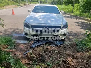 2015, Mercedes-Benz / CLS 250, 132887 км., diesel