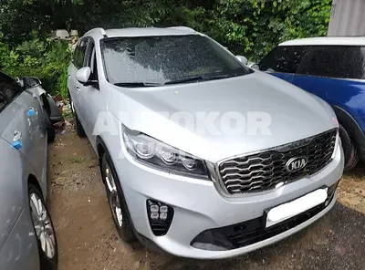 2020, Kia / Sorento, VIN: KNAPK81BBLA559036, 50004 км., diesel