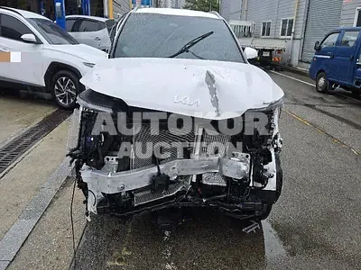 2024, Kia / Sorento, hybrid