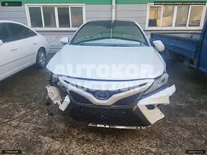 2018, Toyota / Camry, VIN: JTNB21HKXJ3011484, hybrid