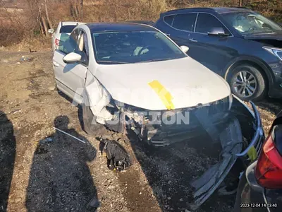 2016, Volkswagen / CC, VIN: WVWZZZ3CZGE506094, gas