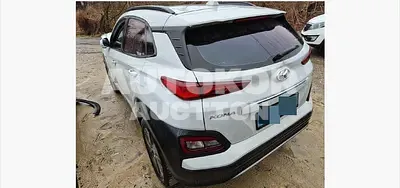 2019, Hyundai / Kona, VIN: KMHK381GFLU070119, 170000 км., electric, 180 куб.см.