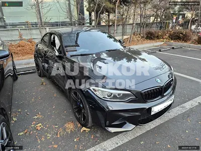 2017, BMW / M2, VIN: WBS1H9102HV916587, gas