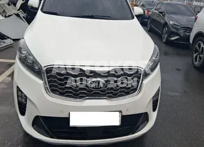 2020, Kia / Sorento, VIN: KNAPH81BBLA595145, 72139 км., diesel