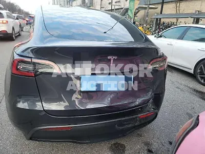 2024, Tesla / Model Y, 68 км., electric, 173 куб.см.