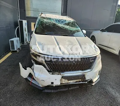 2022, Kia / Carnival, 95703 км., diesel, 2200 куб.см.