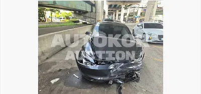 2025, Tesla / Model 3, 50000 км., electric, 180 куб.см.