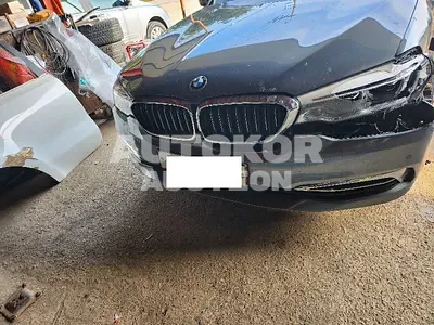 2018, BMW / 520d, VIN: WBAJC5102JG862021, 53510 км., diesel