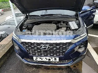 2019, Hyundai / Santa FE, VIN: KMHS381BBKU050693, diesel