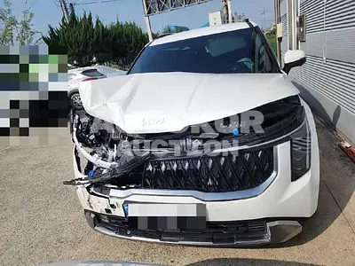 2024, Kia / Carnival, 14799 км., hybrid, 1598 куб.см.