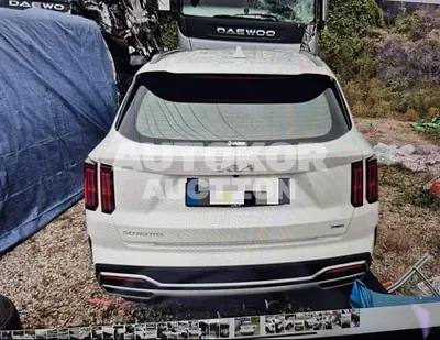 2023, Kia / Sorento, hybrid