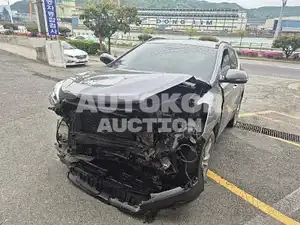 2016, Hyundai / Santa FE, VIN: KMHSW81UBGU609532, diesel