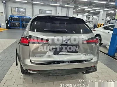2021, Lexus / NX 300, hybrid