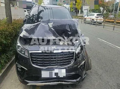 2019, Kia / Carnival, diesel