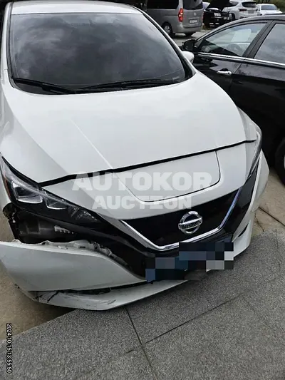 2019, Nissan / Leaf, 110000 км., electric