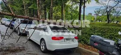 2015, Audi / A4, VIN: WAUZZZ8K8FA082213, 139647 км., diesel