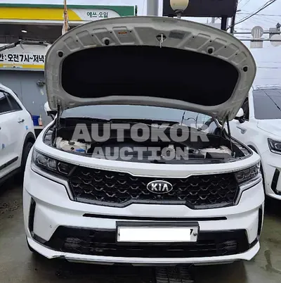 2020, Kia / Sorento, VIN: KNARH81BGMA013036, 45791 км., diesel, 2151 куб.см.
