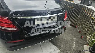2019, Mercedes-Benz / e300, 113805 км., gas
