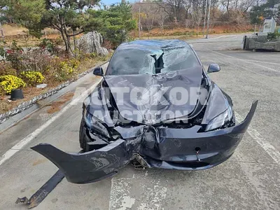 2025, Tesla / Model 3, VIN: LRW3E7EKXSC674317, 157 км., electric, 1 куб.см.