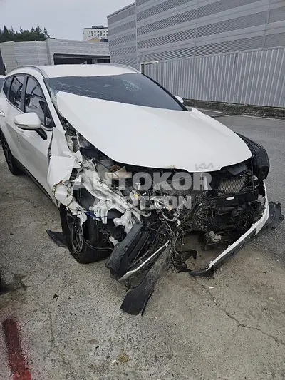 2022, Kia / Sportage, VIN: KNAPU81BGNK031705, gas