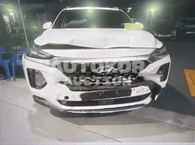 2020, Hyundai / Santa FE, VIN: KMHS281BBLU238640, 100428 км., diesel, 2000 куб.см.