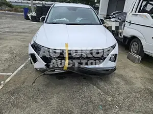2021, Hyundai / Tucson, 75457 км., gas