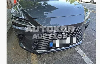 2024, Lexus / RX 450, hybrid, 2487 куб.см.