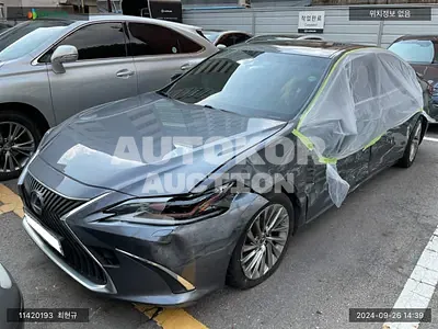 2019, Lexus / ES 300, VIN: JTHB21B17K2047370, hybrid