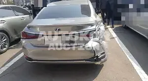 2020, Lexus / ES 300, VIN: JTHBA1C11M2002106, 12000 км., hybrid, 2487 куб.см.