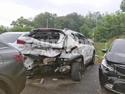 2019, Hyundai / Santa FE, VIN: KMHS381CBKU162453, diesel