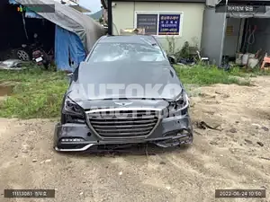2020, Genesis / G80, VIN: KMHGN41DDLU342031, gas