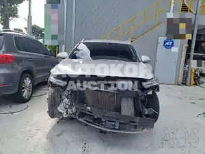 2020, Hyundai / Santa FE, VIN: KMHS381BDLU291516, diesel