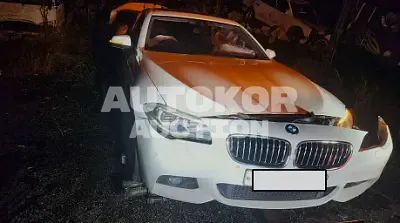 2016, BMW / 520, VIN: WBA5E7109GG156910, 191432 км., diesel