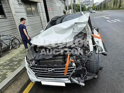 2019, Hyundai / Tucson, VIN: KMHJ3817GLU166541, 165780 км., diesel, 1598 куб.см.