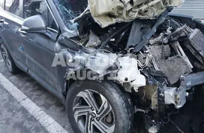 2021, Hyundai / Santa FE, VIN: KMHS281HGMU321284, diesel