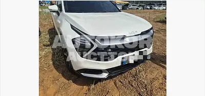 2023, Kia / Sportage, 50000 км., hybrid, 1598 куб.см.