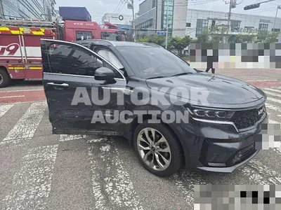 2022, Kia / Sorento, 222806 км., gas, 2200 куб.см.