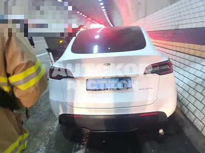 2021, Tesla / Model Y, electric
