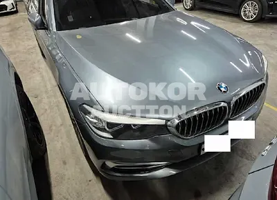 2019, BMW / 520, 68431 км., gas