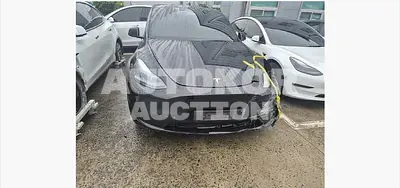 2023, Tesla / Model Y, 50000 км., electric, 173 куб.см.