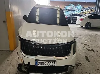 2024, Kia / Carnival, 59558 км., hybrid, 1600 куб.см.
