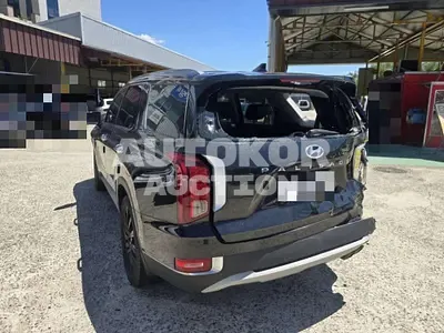2020, Hyundai / Palisade, 118599 км., gas, 3800 куб.см.