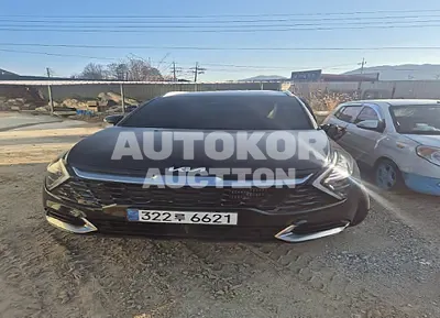 2024, Kia / Sportage, VIN: KNAPY81BHRK335881, 31317 км., gas, 1600 куб.см.