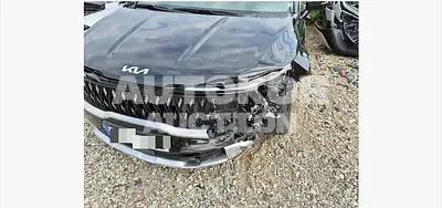 2025, Kia / Carnival, 35000 км., diesel, 2151 куб.см.