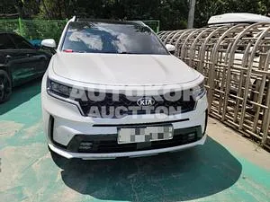2020, Kia / Sorento, VIN: KNARK81BHMA005705, 95000 км., diesel, 2151 куб.см.