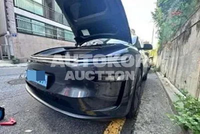 2025, Tesla / Model Y, VIN: LRWYGCFJ6SC106273, electric