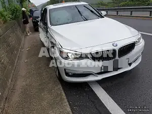 2015, BMW / 320, VIN: WBA3Y3100FGH95704, 100000 км., diesel