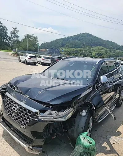 2019, Hyundai / Santa FE, VIN: KMHS581CDKU099455, 114370 км., diesel
