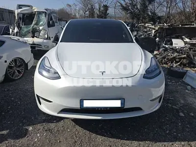2021, Tesla / Model Y, VIN: 5YJYGDEDXMF235157, 122323 км., electric