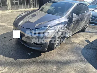2024, Tesla / Model Y, VIN: LRWYGCFSXRC428031, 44508 км., electric
